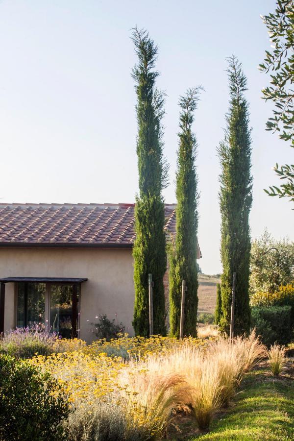 Bed and Breakfast Casale Sterpeti Magliano in Toscana Zewnętrze zdjęcie