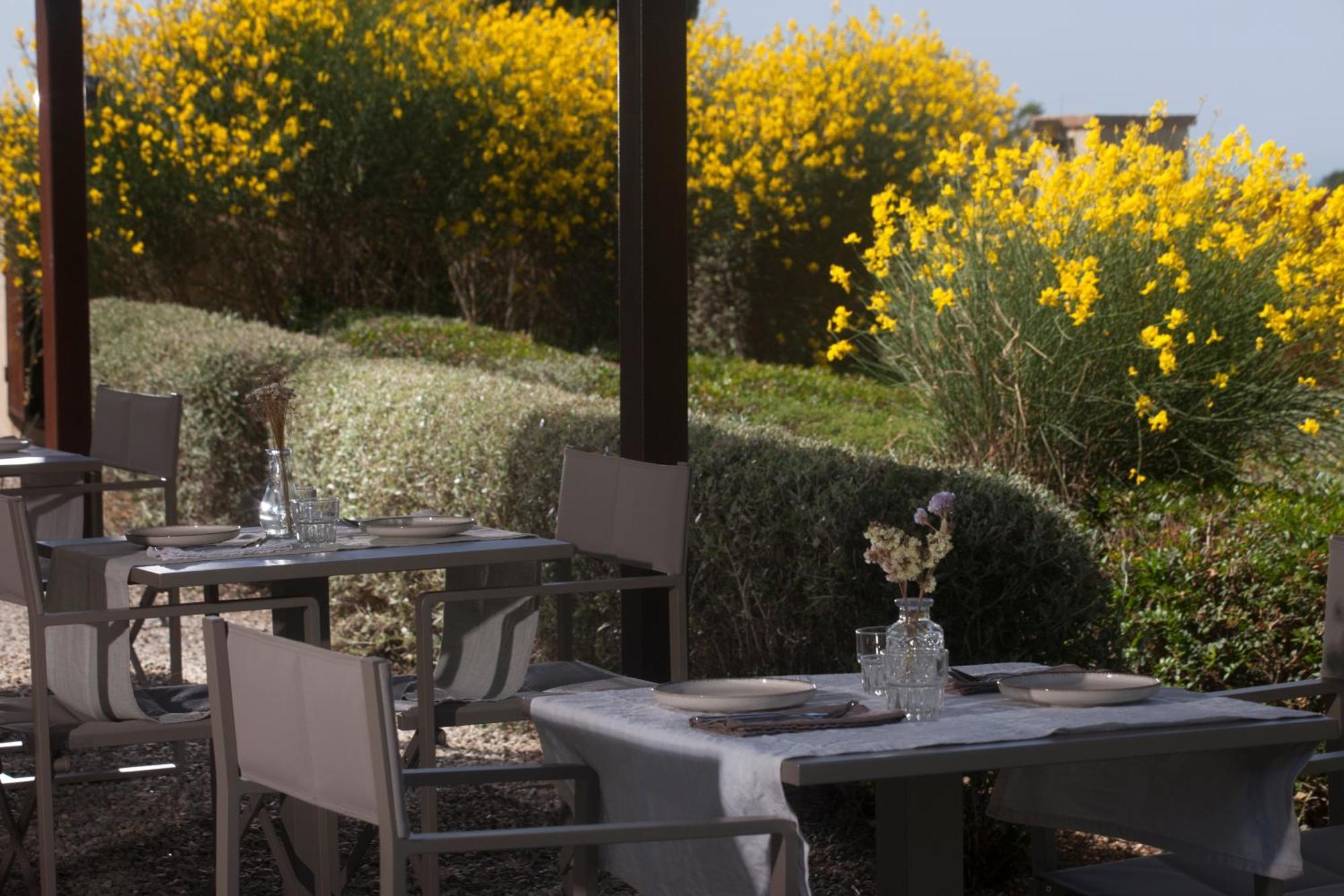 Bed and Breakfast Casale Sterpeti Magliano in Toscana Zewnętrze zdjęcie
