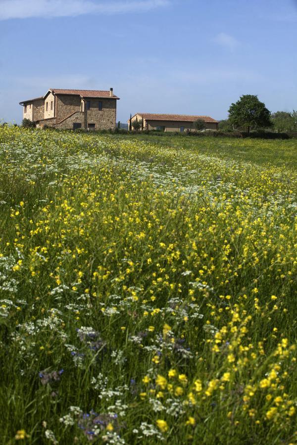 Bed and Breakfast Casale Sterpeti Magliano in Toscana Zewnętrze zdjęcie